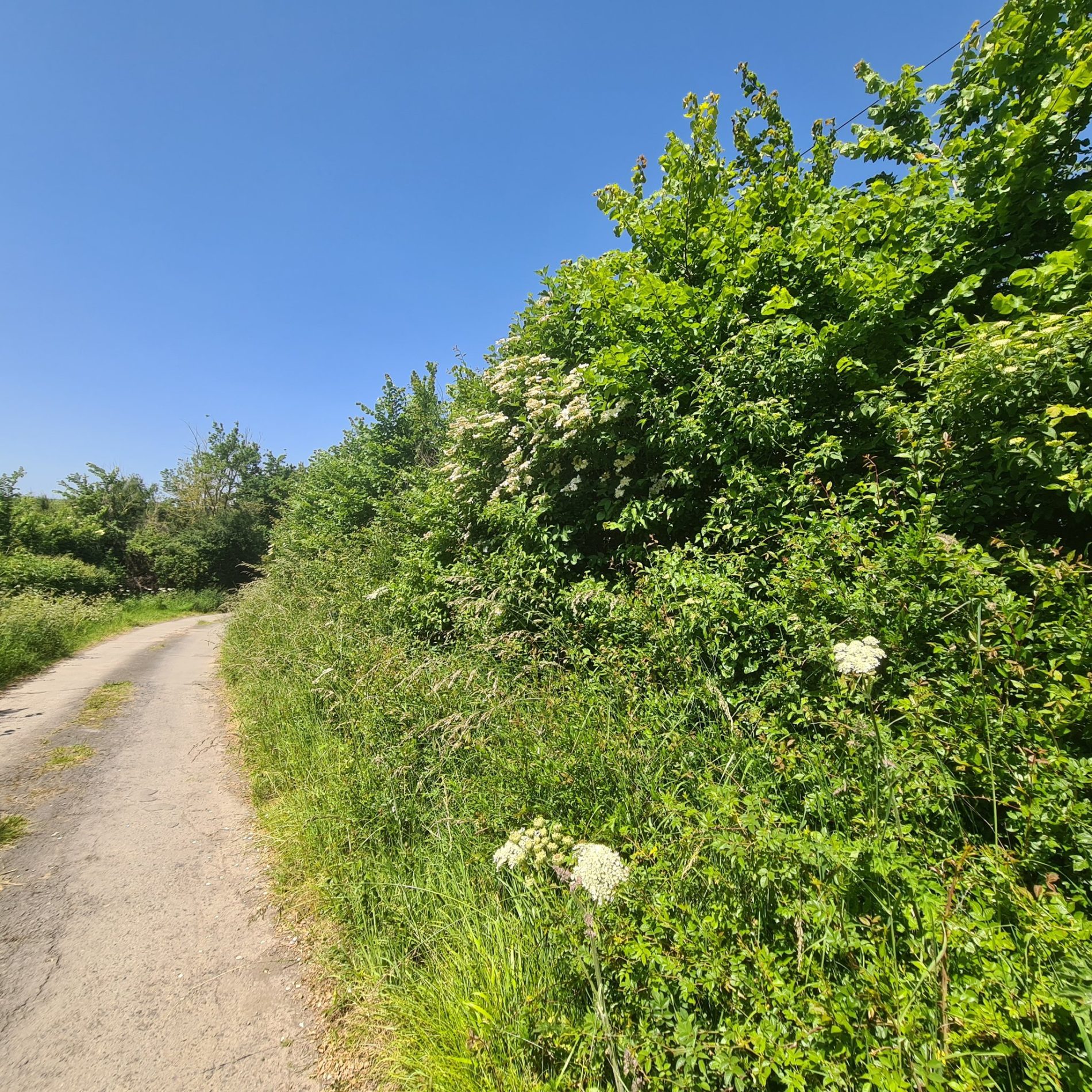 is-bristol-prepared-for-even-more-intense-heatwaves-the-bristol-cable