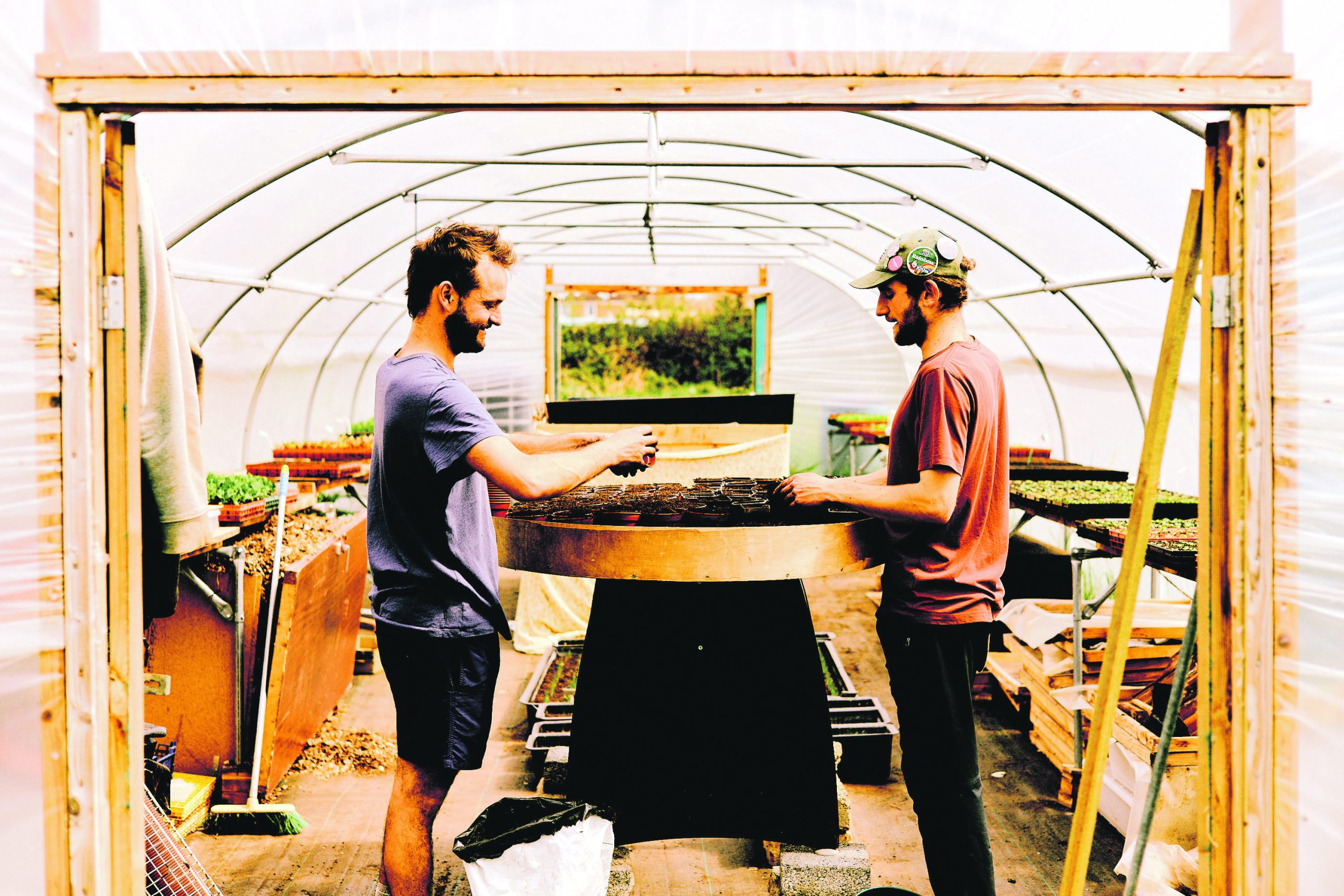 Is Urban Agriculture the Key to Solving Food Insecurity?