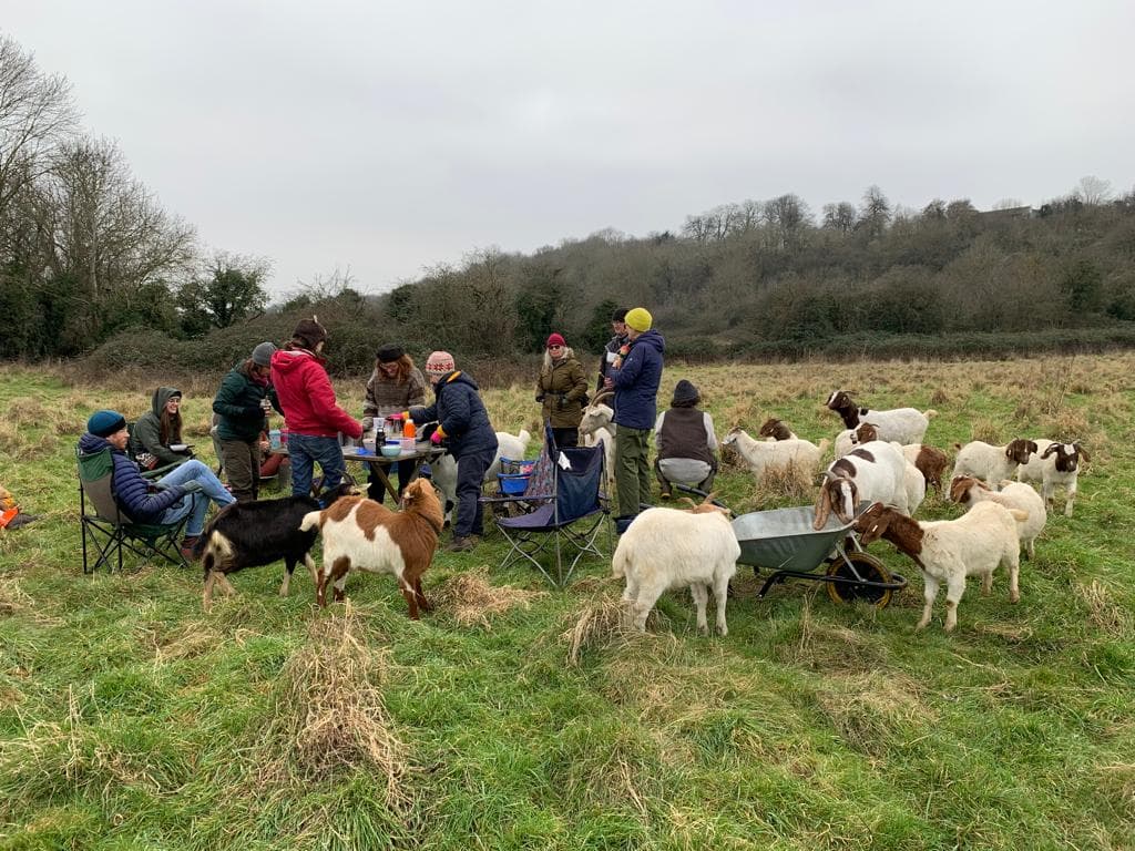 Bristol Tree Craft Volunteer Sunday The Bristol Cable