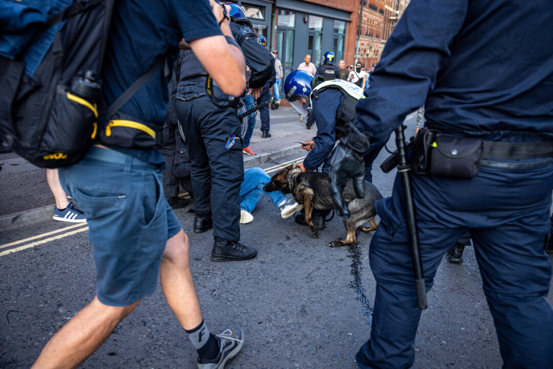 A police dog bites a protester who is lying on the ground, with other police officers surrounding them.