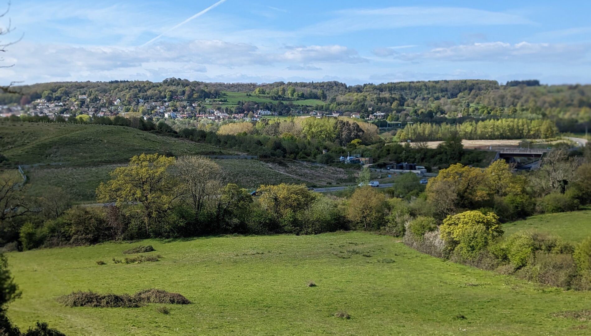 A view over open green space with trees and homes in the distance