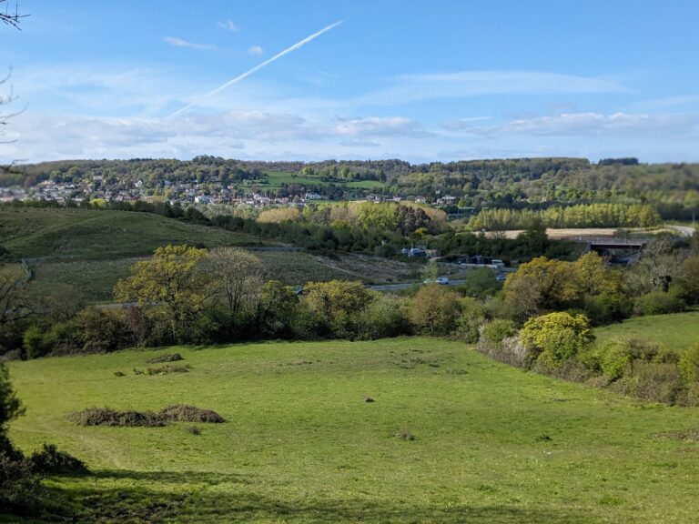 A view over open green space with trees and homes in the distance