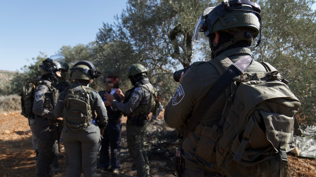 A man stands in an olive grove surrounded by uniformed officers