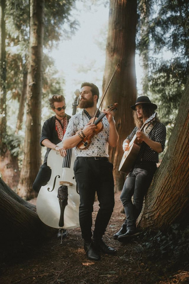 A trio of musicians stand holding their instruments in between some tall trees
