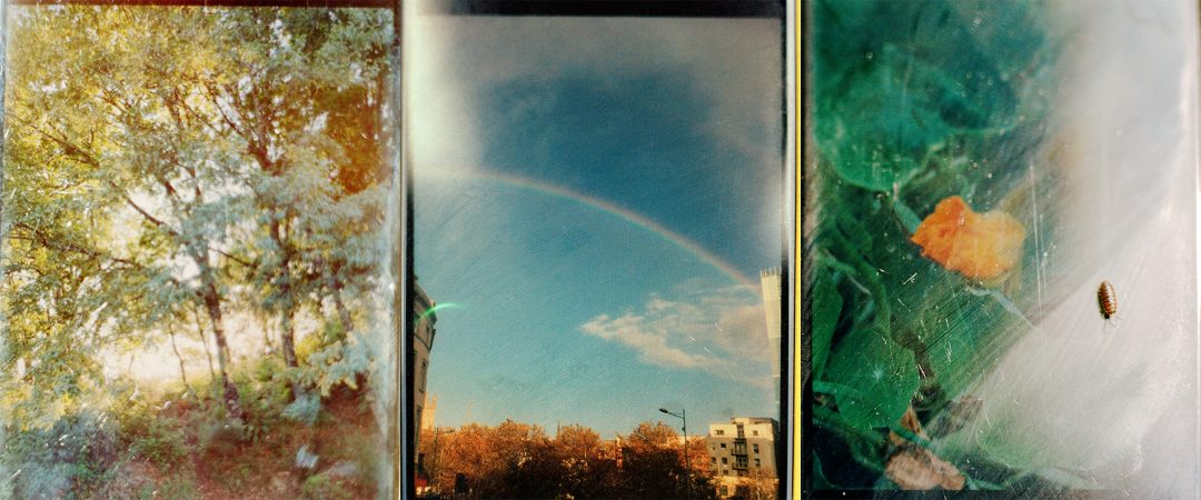 Series of abstract photographic images in green and blue tones