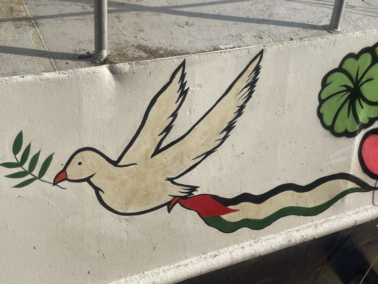 Painting of a dove holding a branch in its beak and its claws holding a Palestinian flag