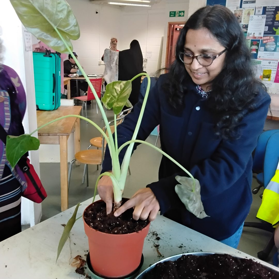 A woman with long hair and glasses wearing a blue jacket repots a plant in a cafe